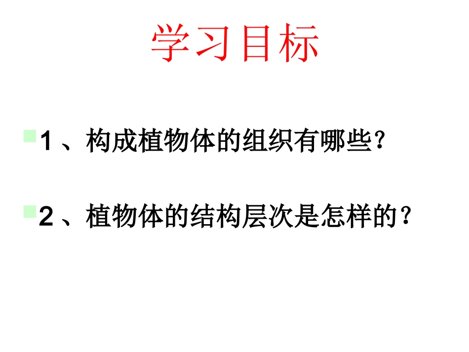 初中一年级生物上册第二单元生物体的结构层次第二章第三节植物体的结构层次第一课时课件_第2页