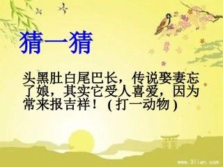 都市精灵 (4)