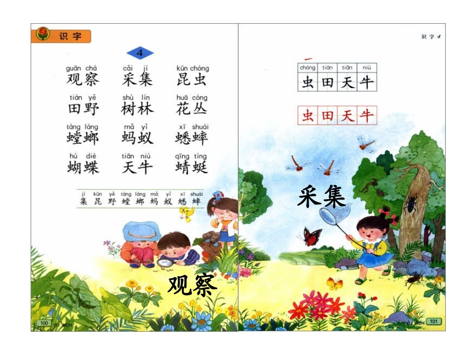 苏教版一年级上识字4_第3页