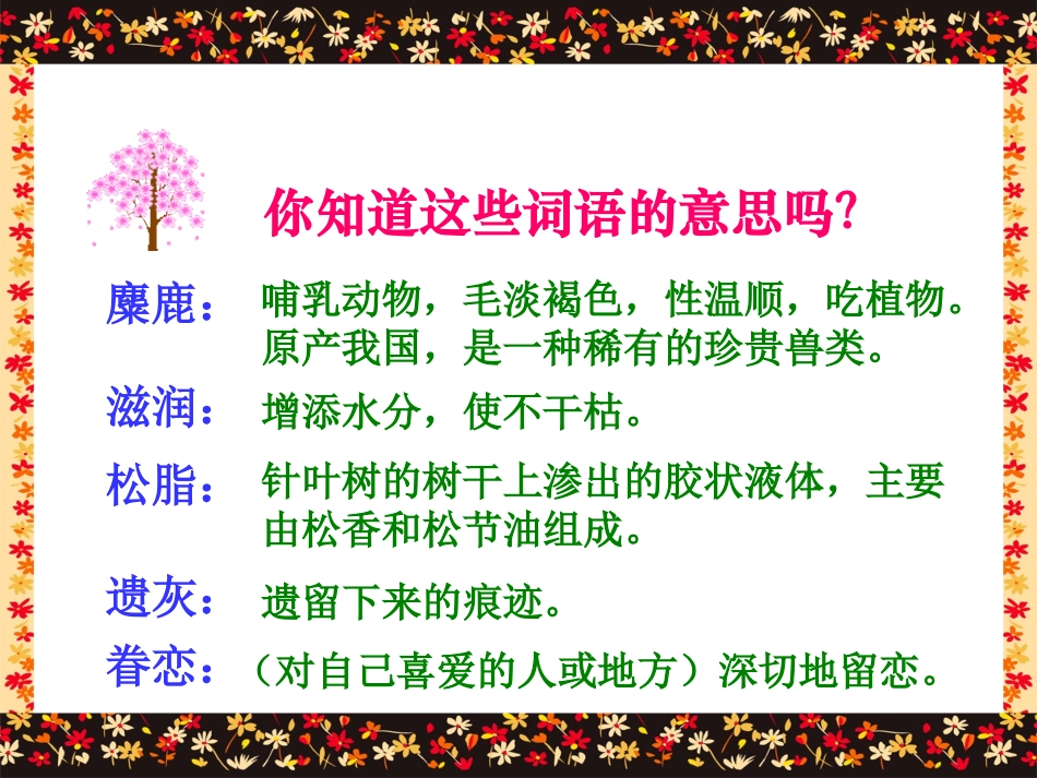 沪江小学资源网_《这片土地是神圣的》课件_2012121944656034_539_第3页
