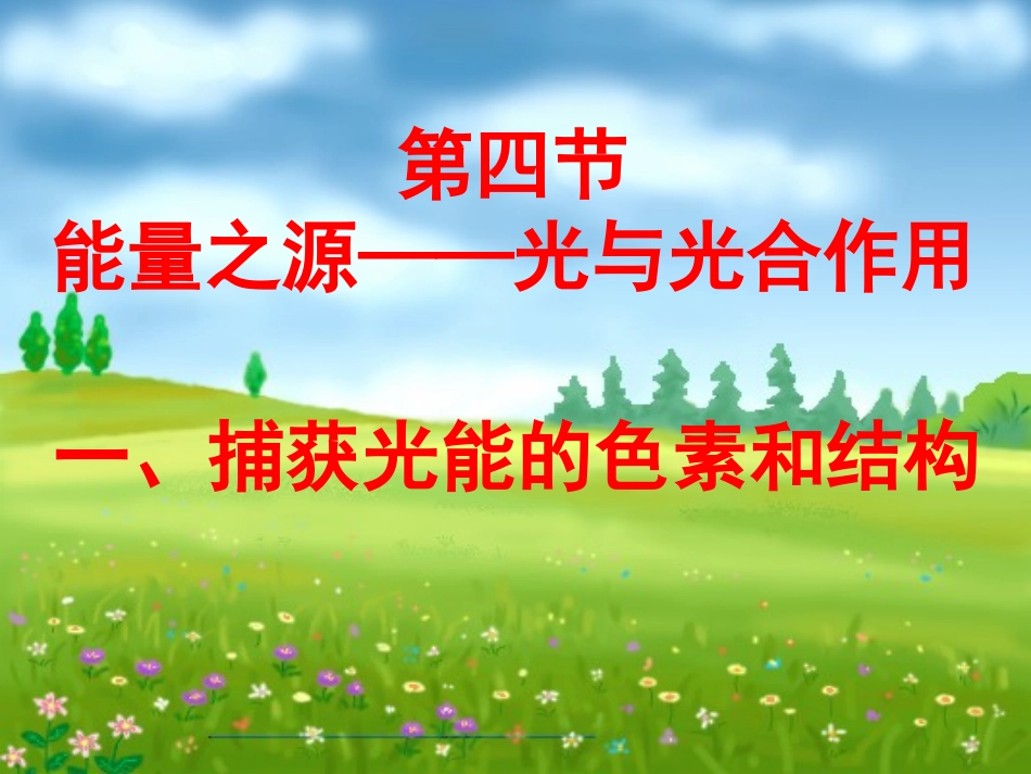 能量之源——光与光合作用_第2页