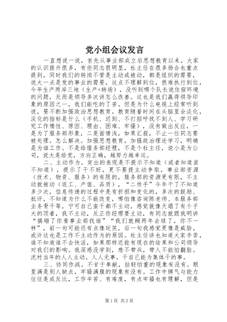 党小组会议发言