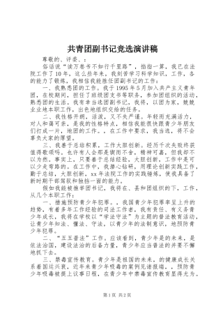 共青团副书记竞选演讲稿