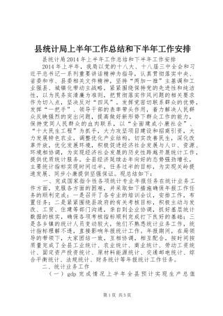 县统计局上半年工作总结和下半年工作安排