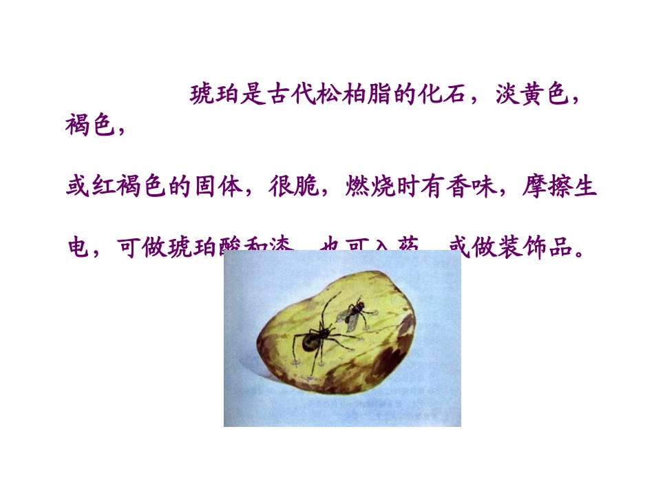 《琥珀》课件_第3页