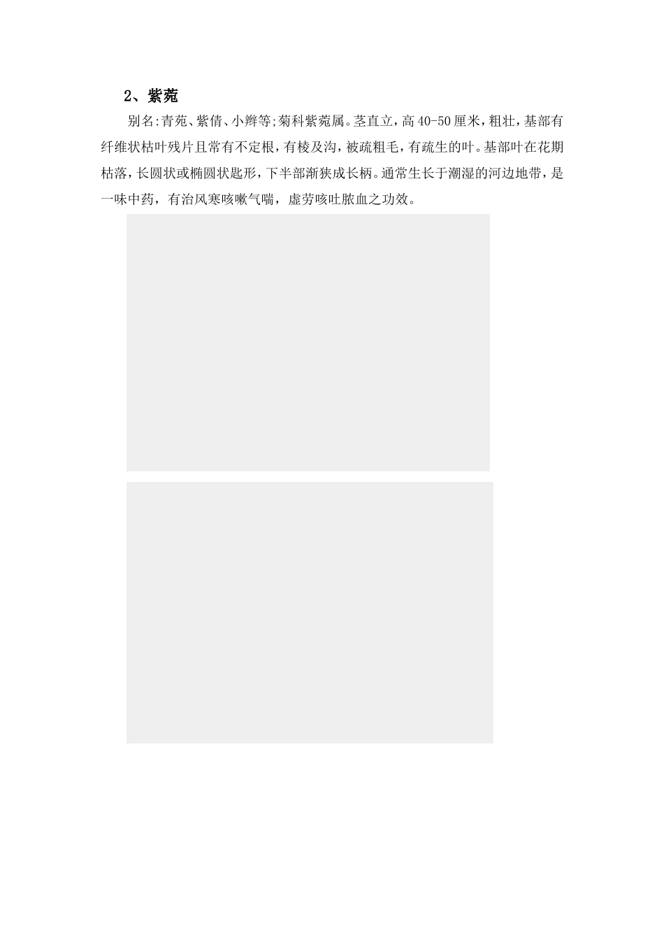 常用绿化花卉简介_第2页