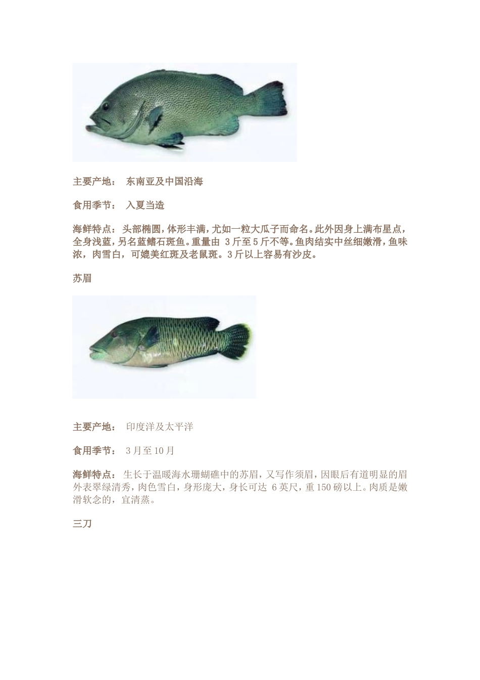 常见海鲜海鱼欣赏_第2页