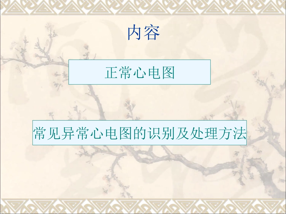 常见异常心电图的识别及处理方法_第3页