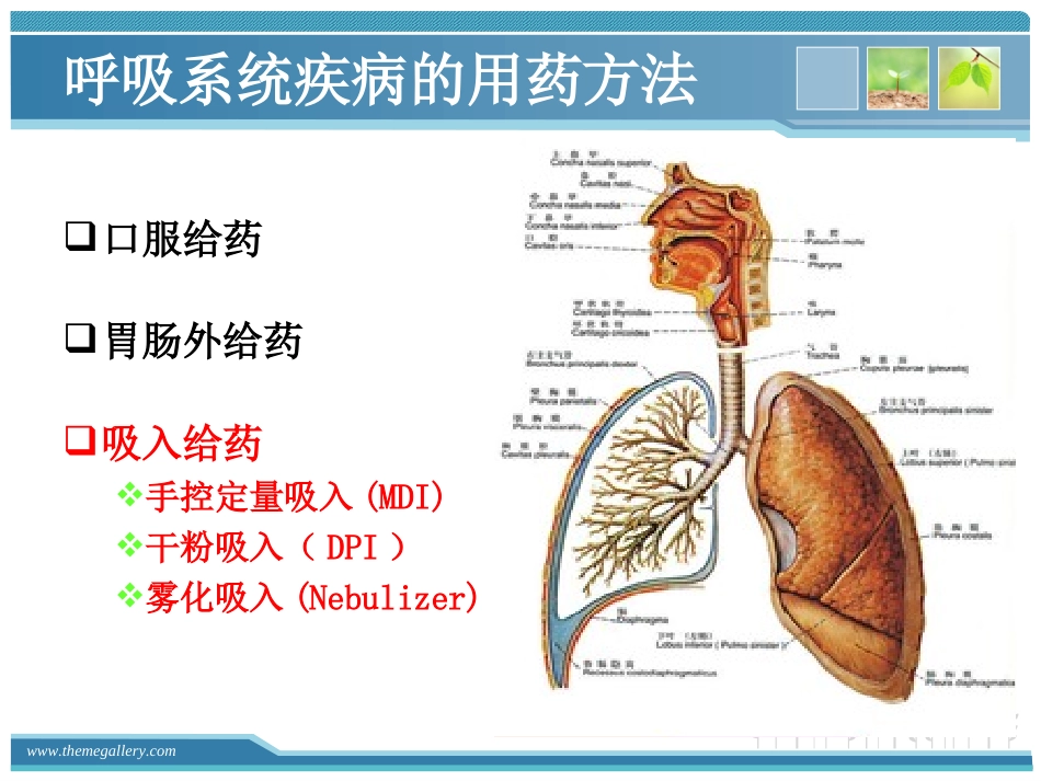 常用吸入药物的使用及注意事项_第3页