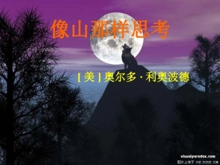 《像山那样思考》