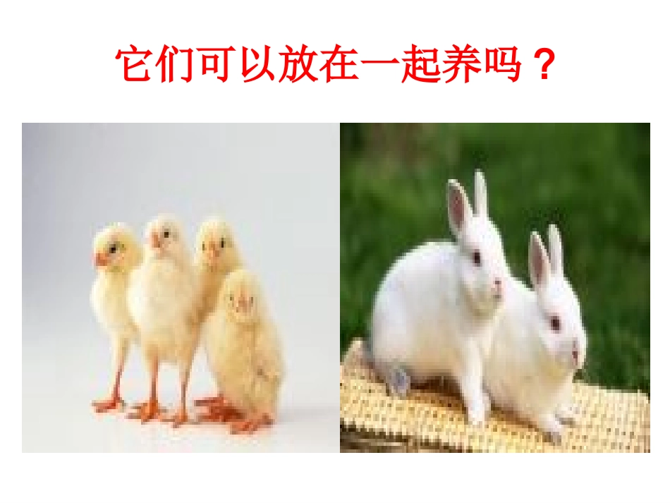 合并同类项课件谢晓荣_第2页