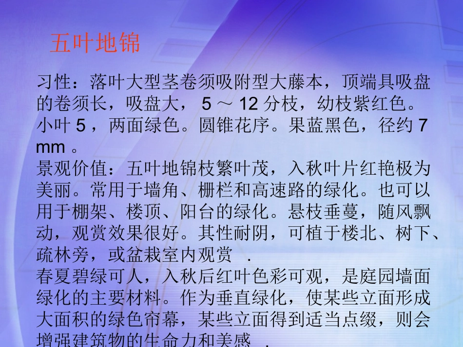 常见的垂直绿化植物_第2页