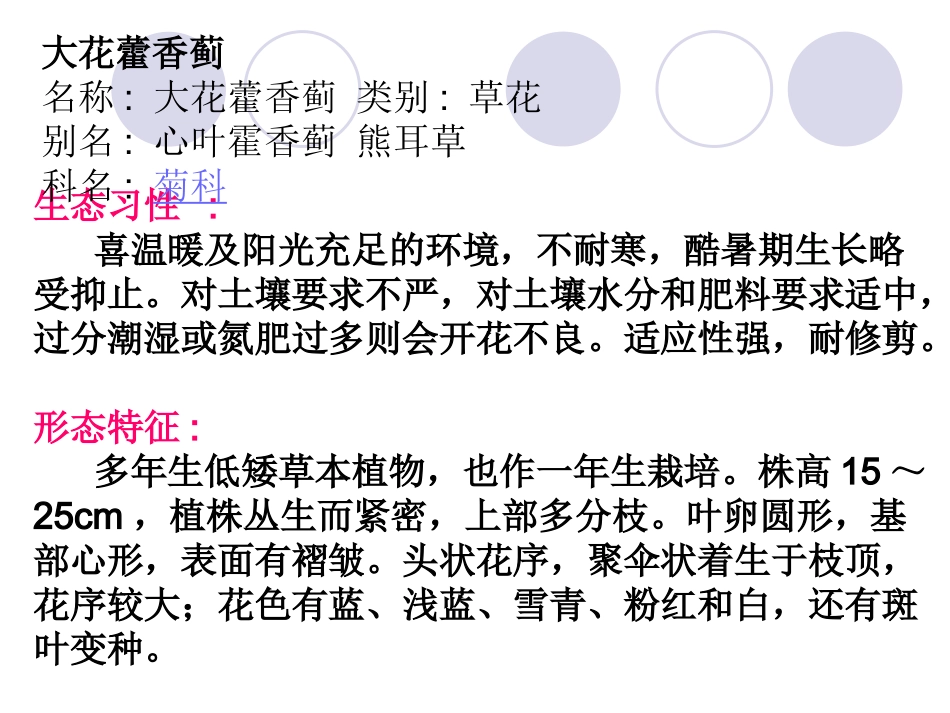 常见一二年生草本花卉介绍_第2页