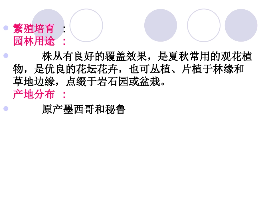 常见一二年生草本花卉介绍_第3页