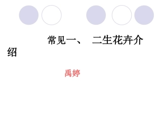 常见一二年生草本花卉介绍