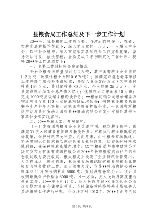 县粮食局工作总结及下一步工作计划