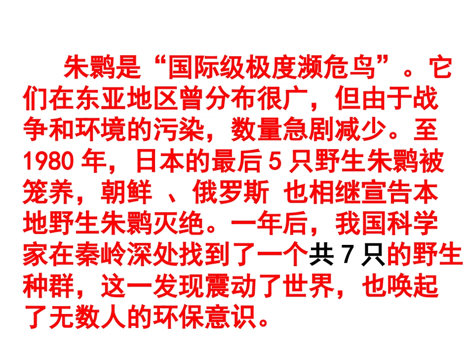 朱鹮飞回来了__天祝_第3页