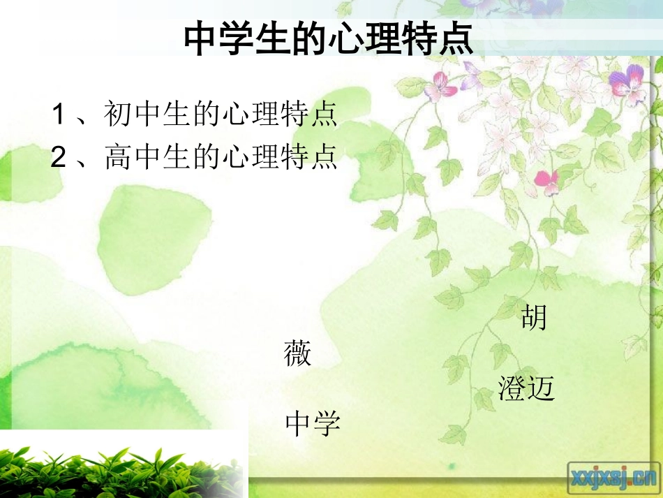 中学生的心理特点_第1页