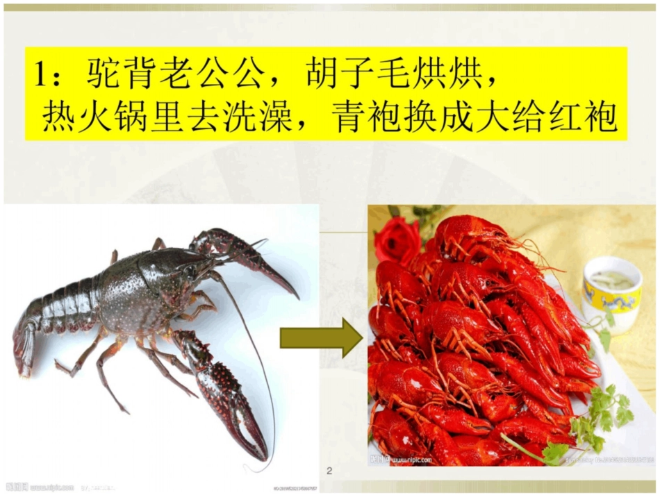 中班语言：猜动物谜语ppt课件_第2页