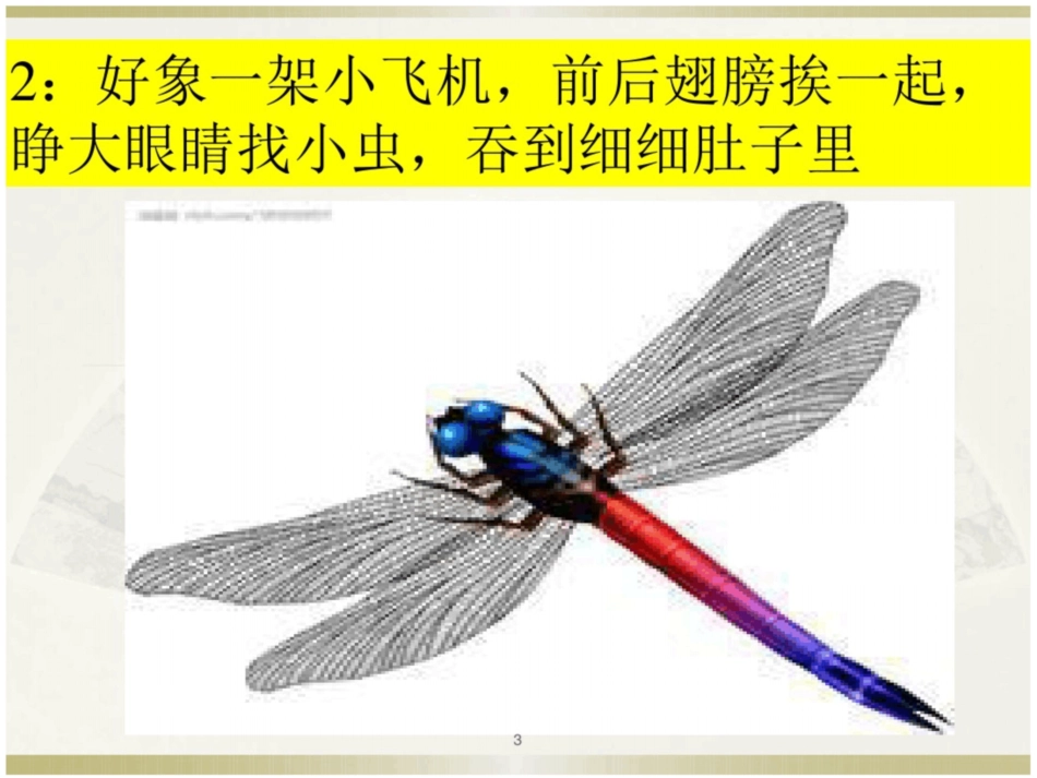 中班语言：猜动物谜语ppt课件_第3页