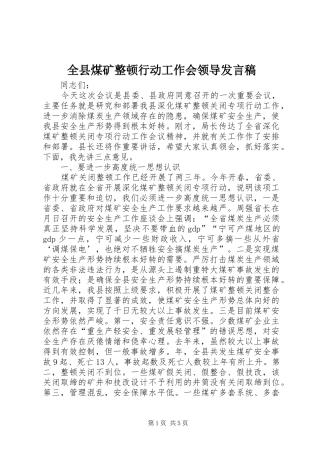 全县煤矿整顿行动工作会领导发言稿