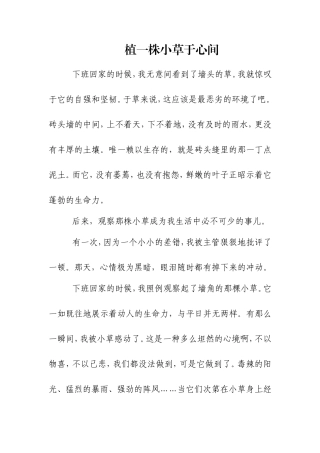 植一株小草于心间
