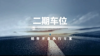 车位开盘执行方案