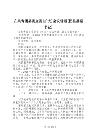 在共青团县委全委(扩大)会议讲话(团县委副书记)