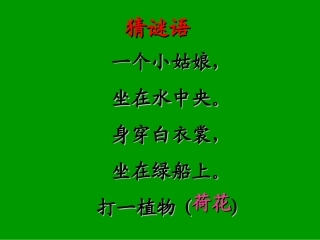 《荷花》PPT之一课件(人教版三年级语文下册课件)