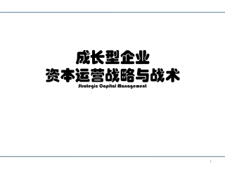 成长型企业资本运营战略与战术-