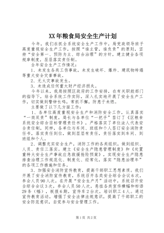 XX年粮食局安全生产计划