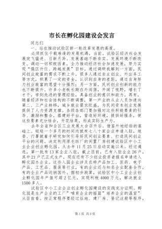 市长在孵化园建设会发言
