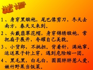 给动物设计名片