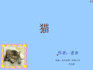 猫优秀课件乔会丽