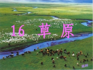 苏教版小学语文六年级上册《草原》课件之一