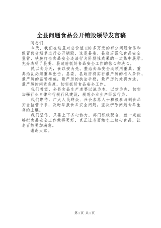 全县问题食品公开销毁领导发言稿