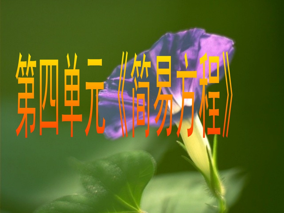 五年级数学用字母表示数_第3页