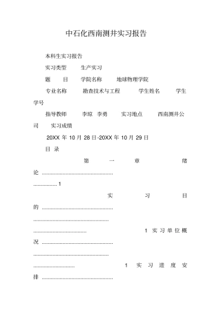 中石化西南测井实习报告