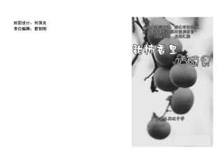 甜柿香里话硕果--封面