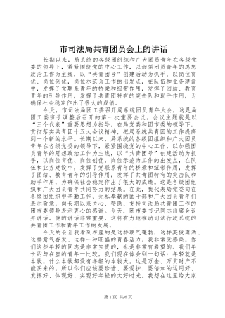 市司法局共青团员会上的讲话