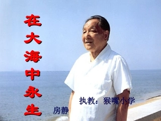 在大海中永生