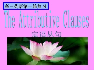 高一英语语法定语从句的优质课件