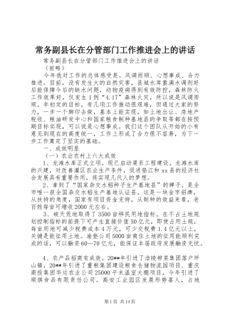 常务副县长在分管部门工作推进会上的讲话