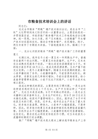 市粮食技术培训会上的讲话