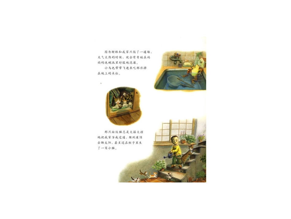 绘本——再见小树林_第3页