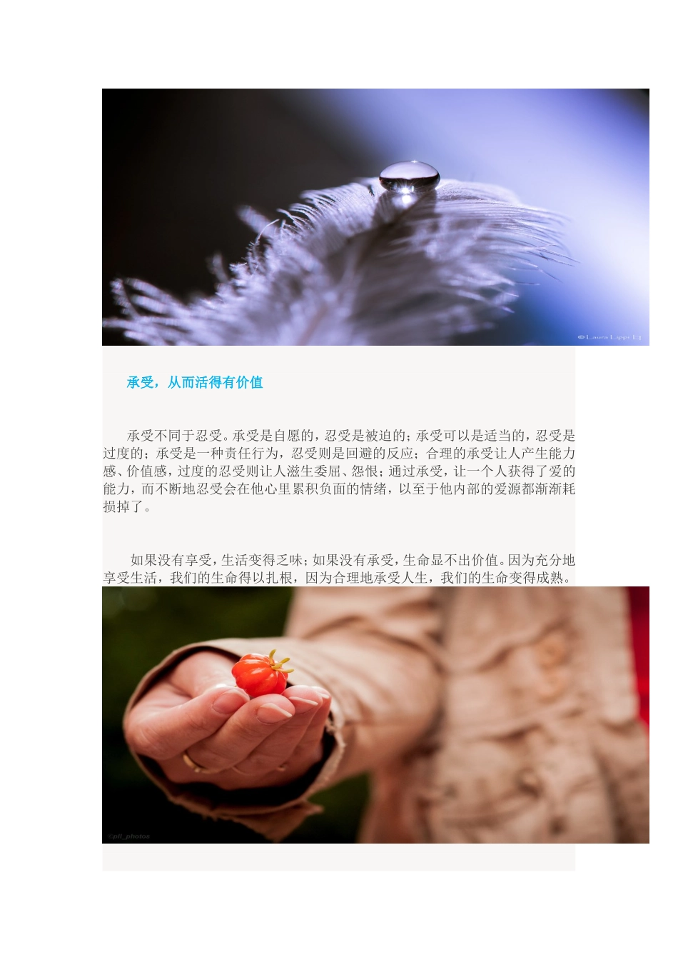 人生态度的三种活法_第2页