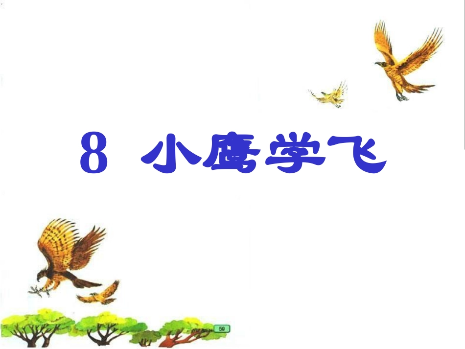 《小鹰学飞》教学课件二_第1页
