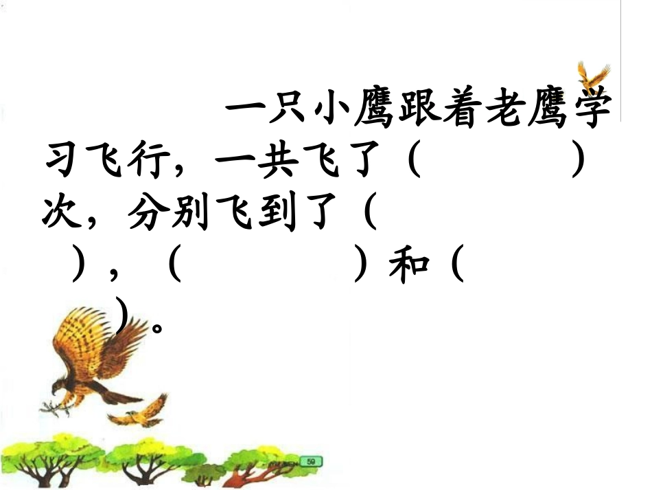 《小鹰学飞》教学课件二_第2页