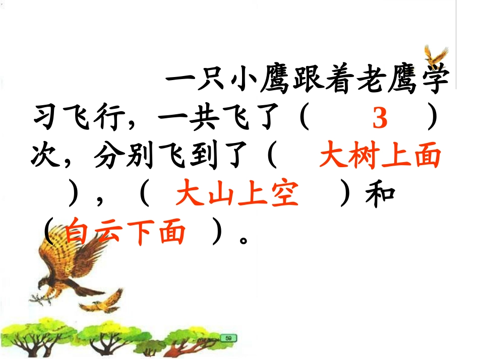 《小鹰学飞》教学课件二_第3页