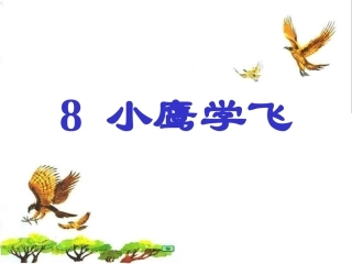 《小鹰学飞》教学课件二